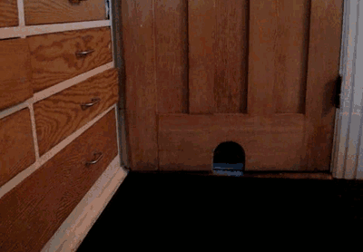 Отрастил задницу