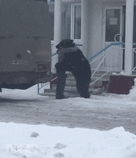 Типичная Россия