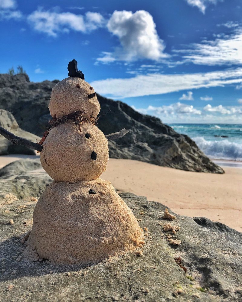 "Снеговик" на каникулах
