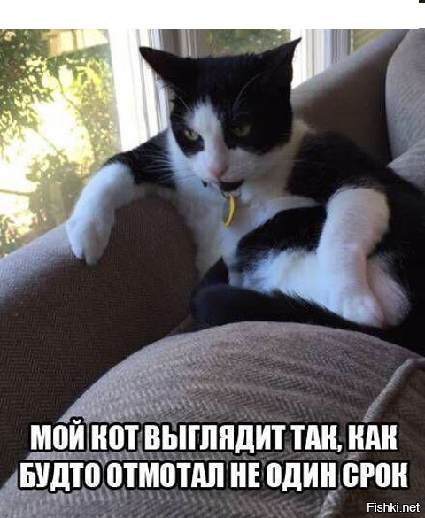 750a761c6e64de2657686075cf2ce952.png