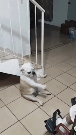 Знает, как порадовать бабушку