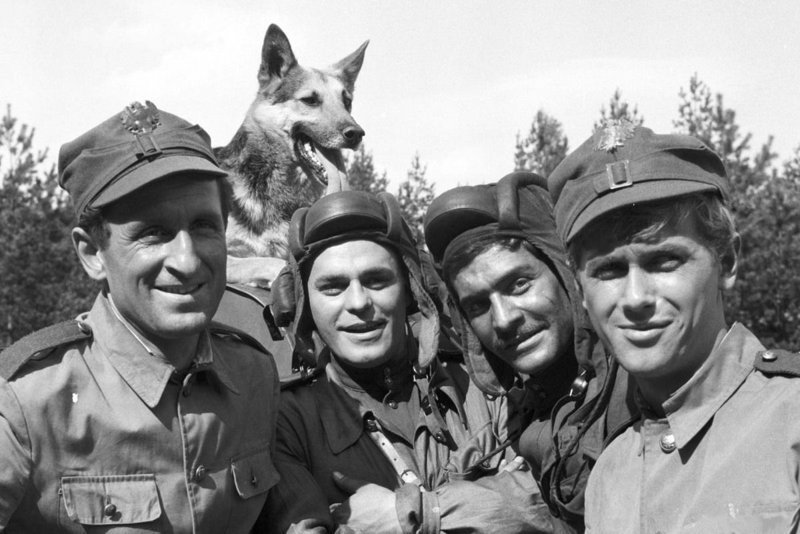 "Четыре танкиста и собака" (сериал 1966 – 1970) (Czterej pancerni i pies) Польша