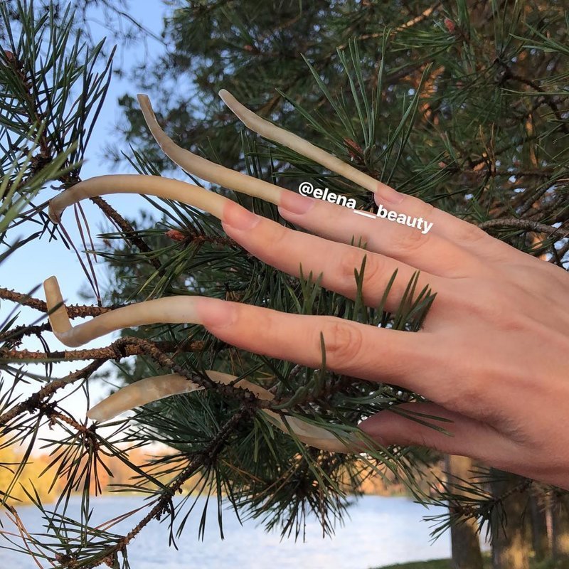 Елена Шиленкова — россиянка, за 4 года отрастившая 12-сантиметровые ногти