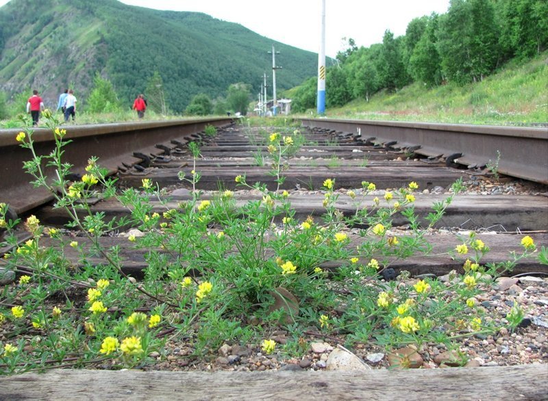 Кругобайкальская железная дорога