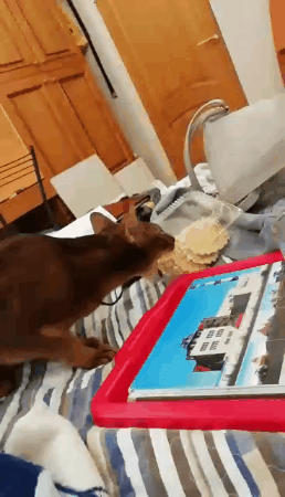 Достань, если сможешь