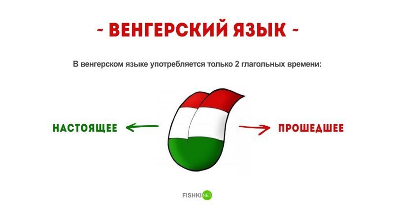 Факт о венгерском языке