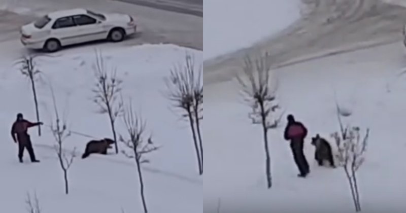Обычный день в Кузбассе: мужчина на поводке выгуливает медведя