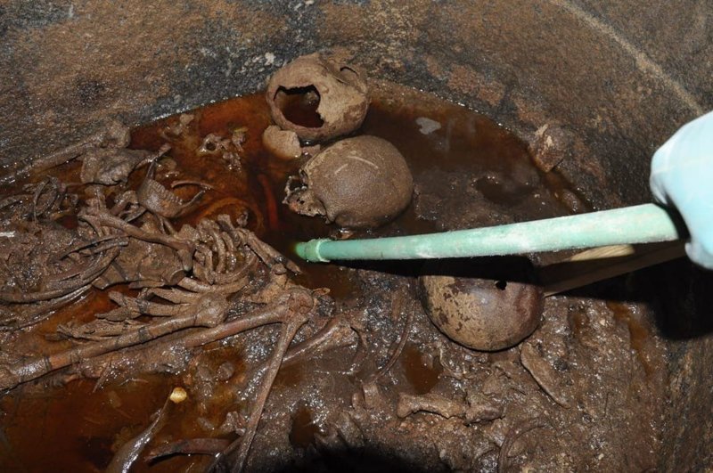 В захоронении также покоятся мумии, скелеты и черепа, датируемые Средним царством, возрастом почти 4000 лет