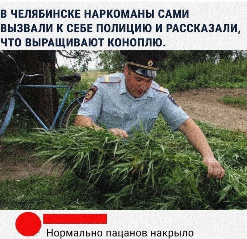 Прикольные и смешные картинки