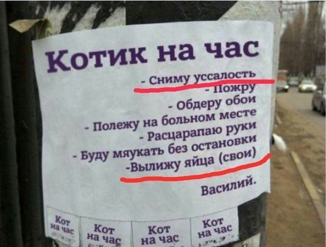 Смешные объявления фото