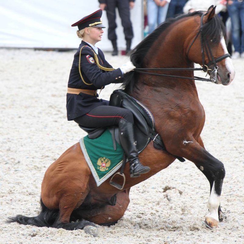 Из-за леса выезжает конная полиция: премьера - не репетиция