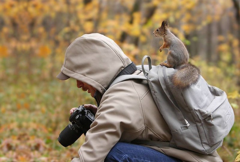 Фотограф дикой природы - это лучшая работа в мире!