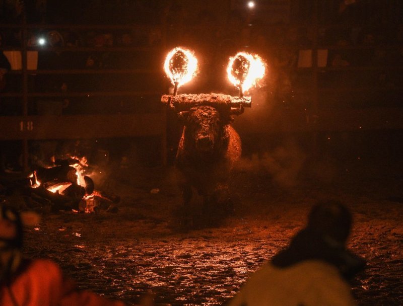 "Огненный бык" - жестокая испанская забава