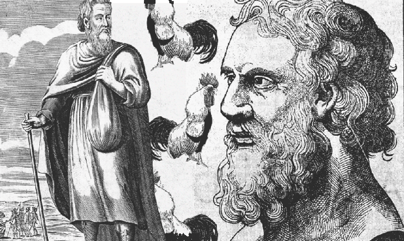 Платон VS Диоген