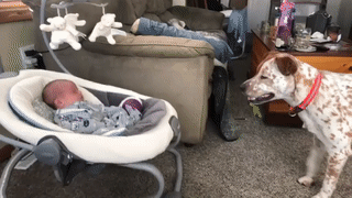 Будешь ты со мной играть или нет?