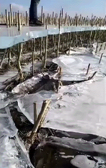 Лед, а под ним пустота Лед, а под ним пустота