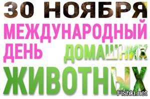 30 ноября какой. 30 Ноября надпись. Зо ноября день. Зо ноября.