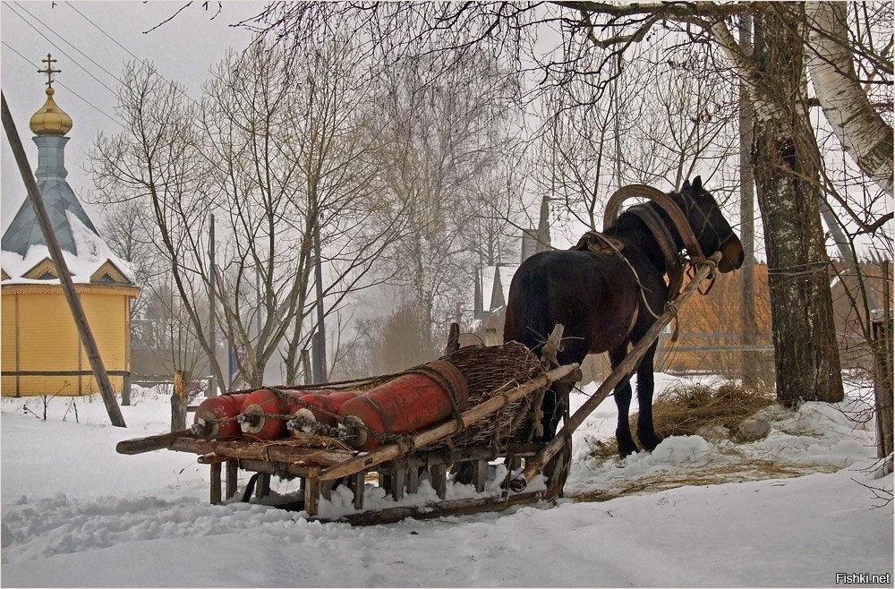 Розвальни фото. Лошадь запряженная в сани. Лошадь с санями. Зимняя повозка с лошадью. Телега зимой.