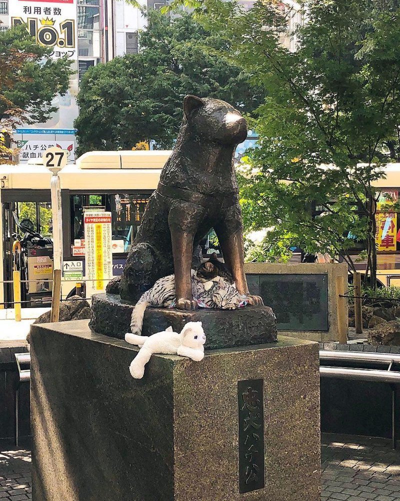 памятник хатико в токио