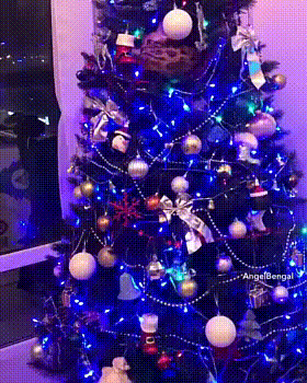 Ему так удобно Ему так удобно