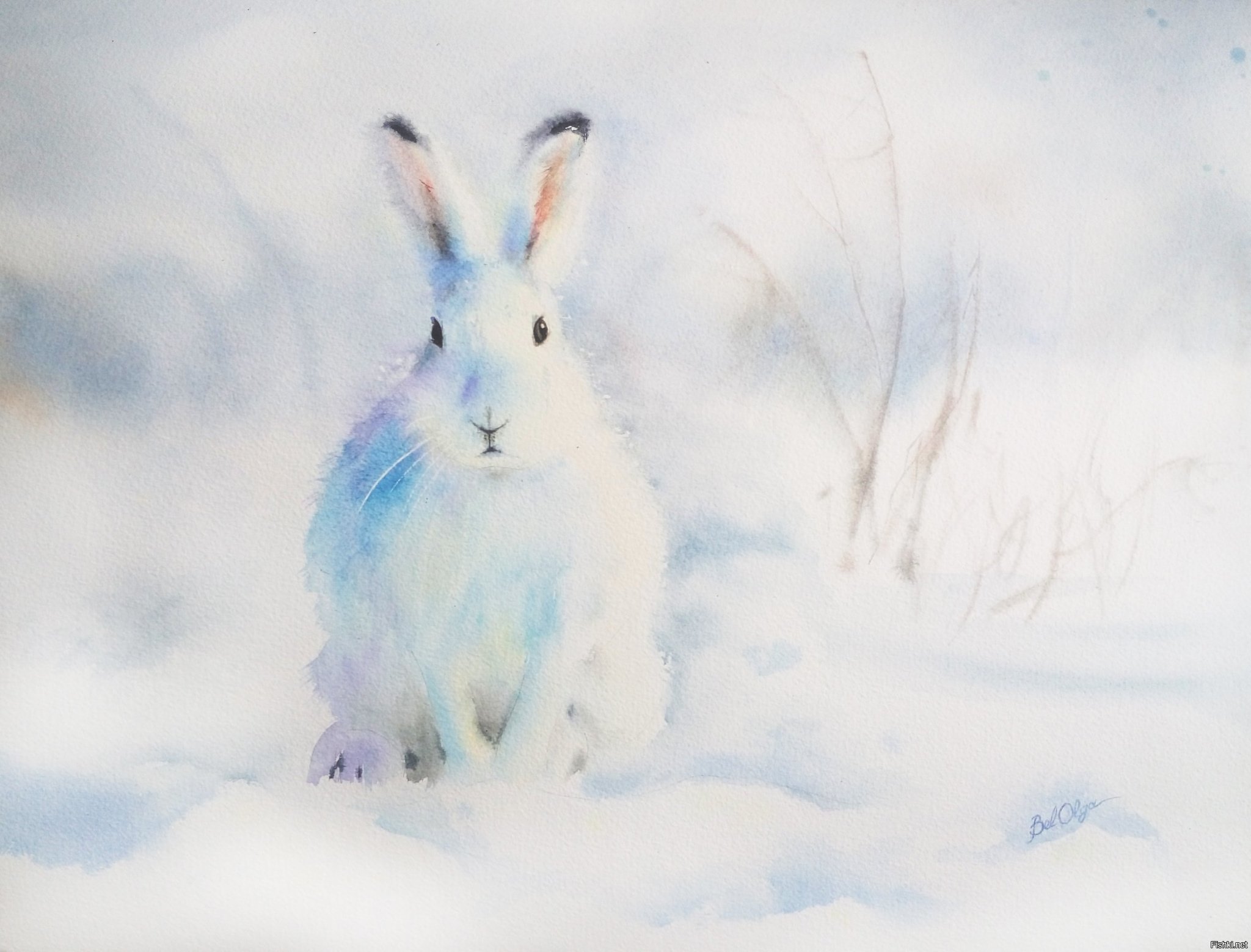 Зайка снегом. Заяц Беляк зима. Заяц Беляк с зайчатами. Заяц Беляк картина. Картина заяц Беляк Комарова.