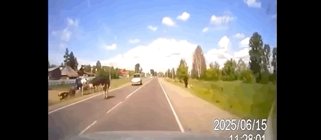 Хук сзади: подборка записей видеорегистраторов с самыми нелепыми ДТП