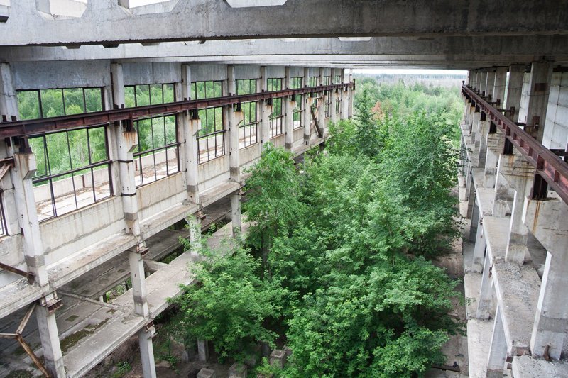 Заросшие руины промышленного здания в Воронежской области, Владимир Мулдер