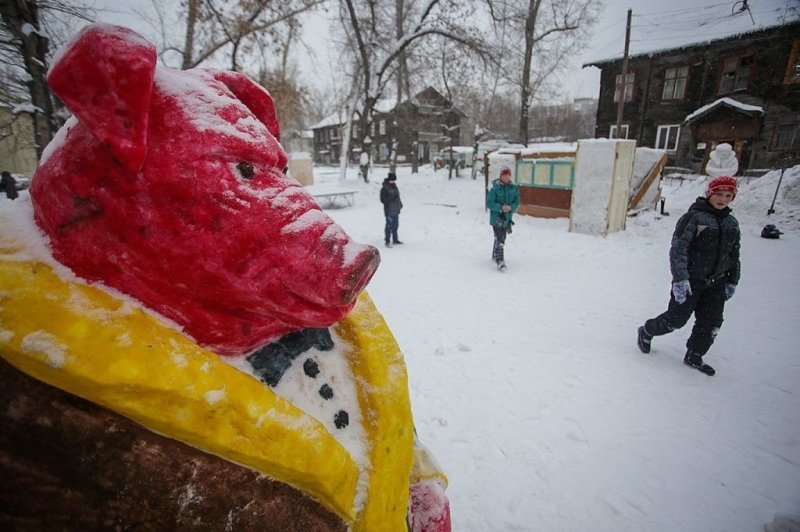 Богатый свин в шубе и на Мерседесе появился в одном из дворов Новосибирска