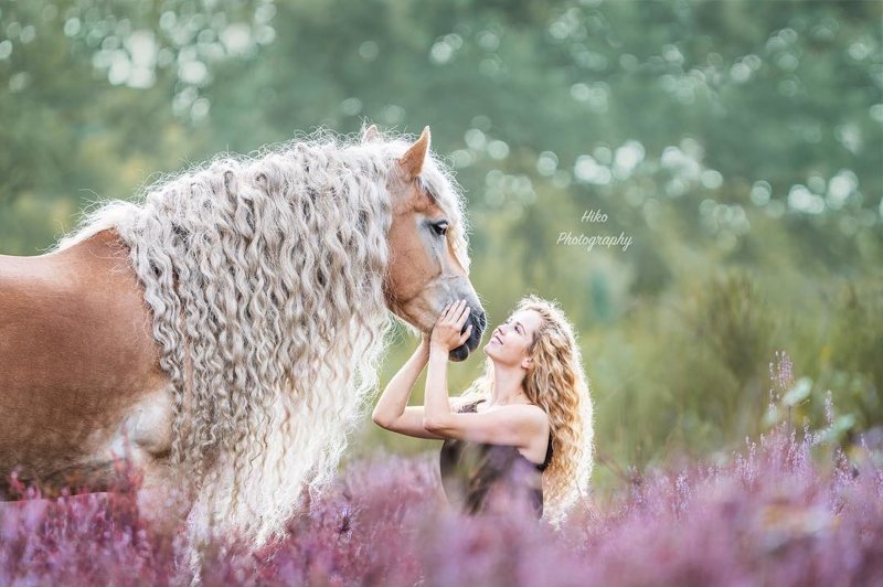 Жительница Голландии показала миру свою лошадь с поразительно длинной гривой, и она будто из сказки