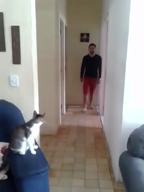 Держи пять, бро Держи пять, бро