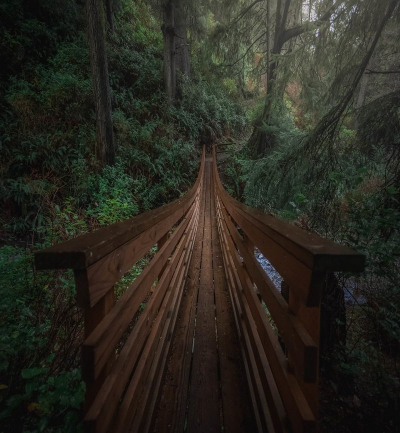 Мост через лесную реку