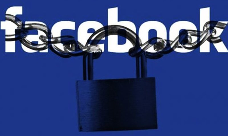 Цензура на «Facebook*»: девушку забанили за помощь домашним животным