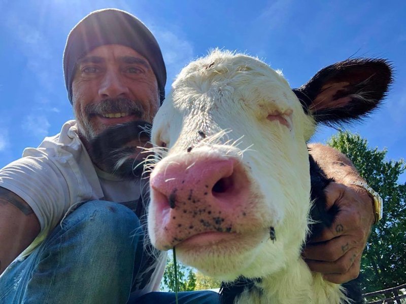 Актер нередко публикует снимки с обитателями его фермы 