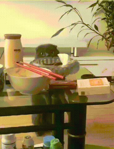 Пока никто не видит