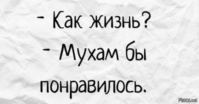 Kak zhizn. Как жизнь Мухам бы понравилось. Как жизнь. Как жизнь Мухам бы понравилось картинка. Как жизнь? Мухам понравится.