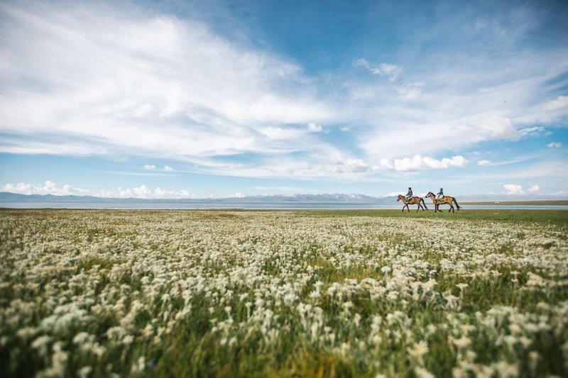 Австрийцы покатались на лошадях в Кыргызстане среди эдельвейсов