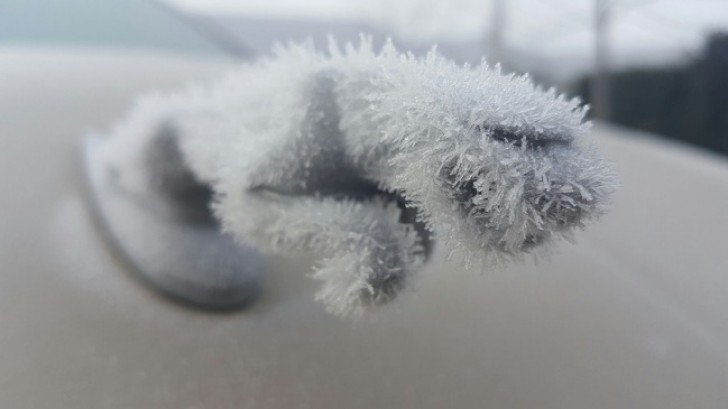 Ягуар на машине оброс ледяной шубкой