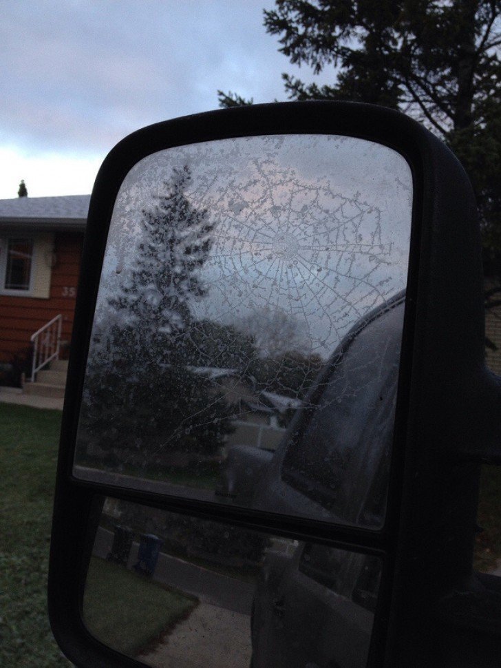 Паутинка замерзла на боковом зеркале автомобиля