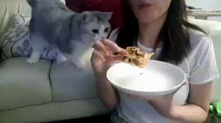 Любитель пиццы