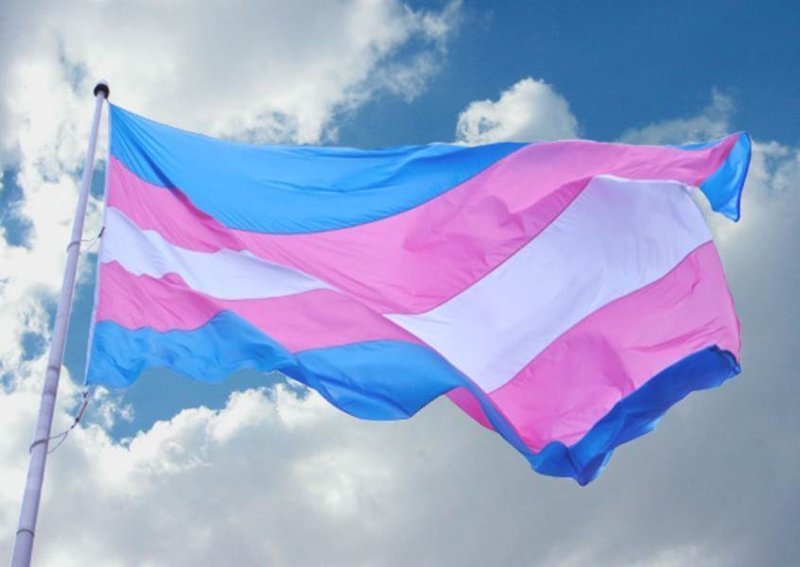 Флаг трансгендеров. Трансгендер - несовпадение гендерной идентичности человека с зарегистрированным при рождении полом.