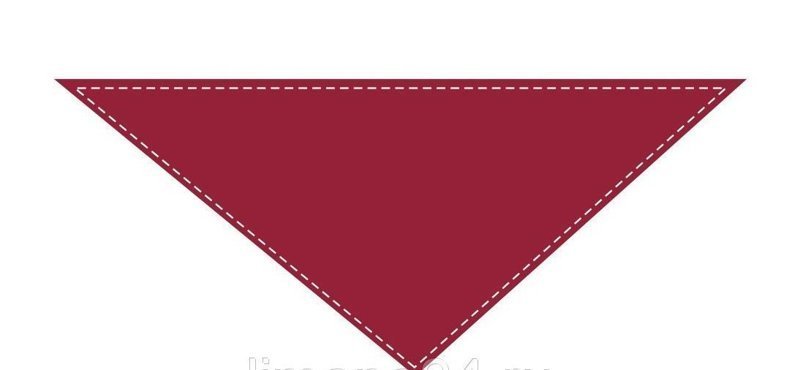 Имеется точка зрения, что бордовый треугольник служил для обозначения транссексуалов. Но это не подтвержденная и не опровергнутая версия