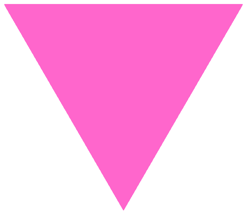 Розовый треугольник — старейший и, наравне с радужным флагом, один из наиболее узнаваемых символов сообщества лесбиянок, геев, бисексуалов и трансгендеров, а также движения в поддержку прав человека в их отношении