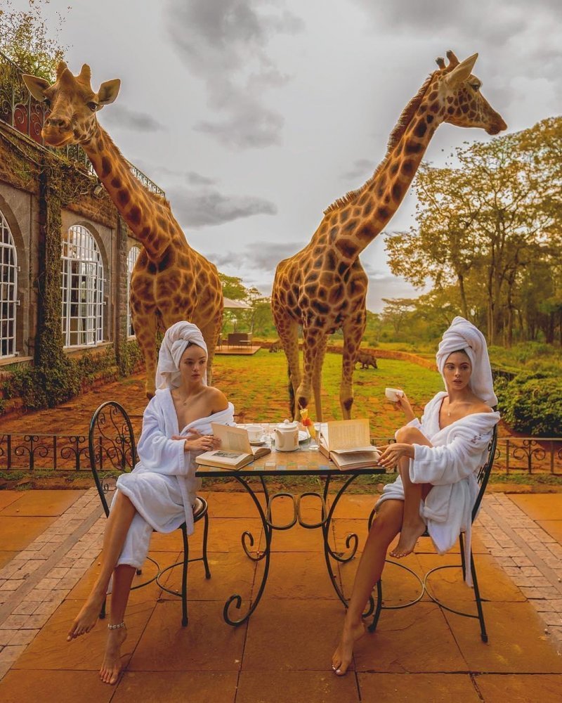 Завтрак с жирафами