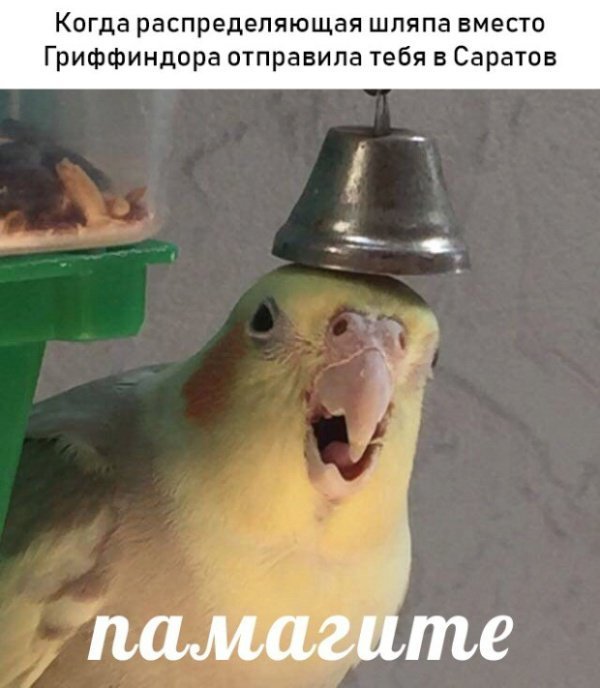 Намешалось