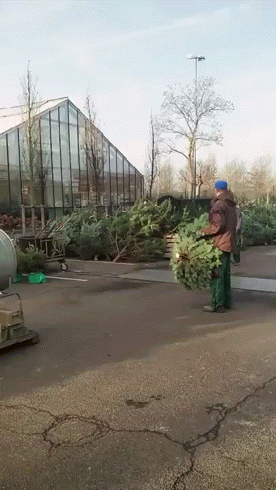 Чудаки на елочных базарах