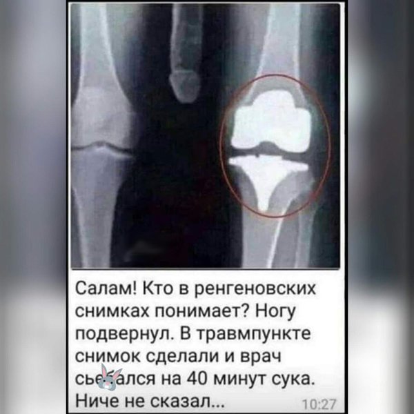 Прикольные и смешные картинки