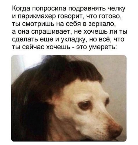 Прикольные и смешные картинки