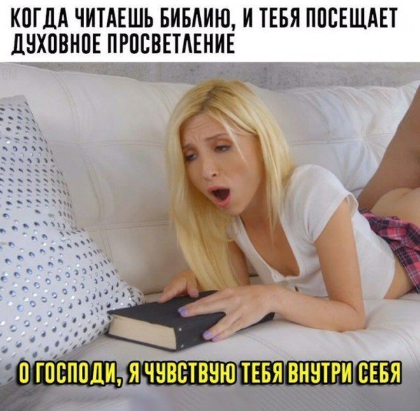 Прикольные и смешные картинки