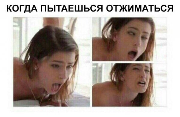 Прикольные и смешные картинки