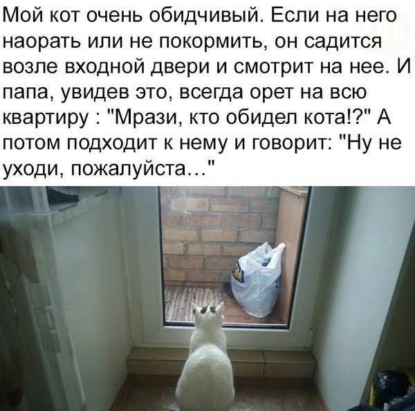 Прикольные и смешные картинки